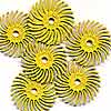 3M Radial Bristle Discs 1 inch Diameter 80grit