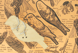 Bird store carving supplies