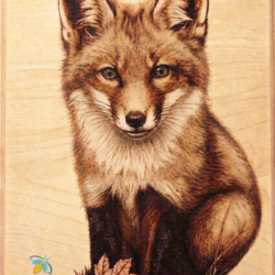 Young Fox Pyrography